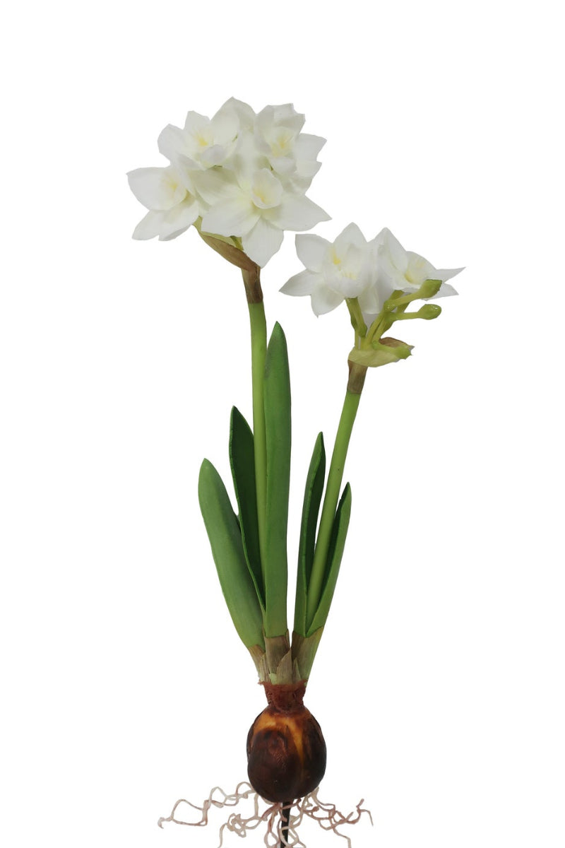 Faux Paperwhite with Bulb 17" White