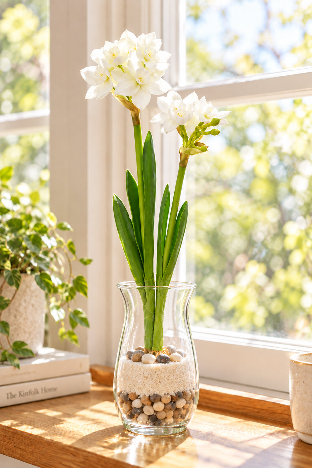 Faux Paperwhite with Bulb 17" White