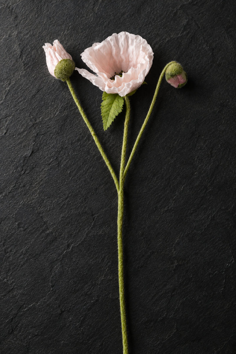 Faux Poppy Stem 22.5" Deep Purple