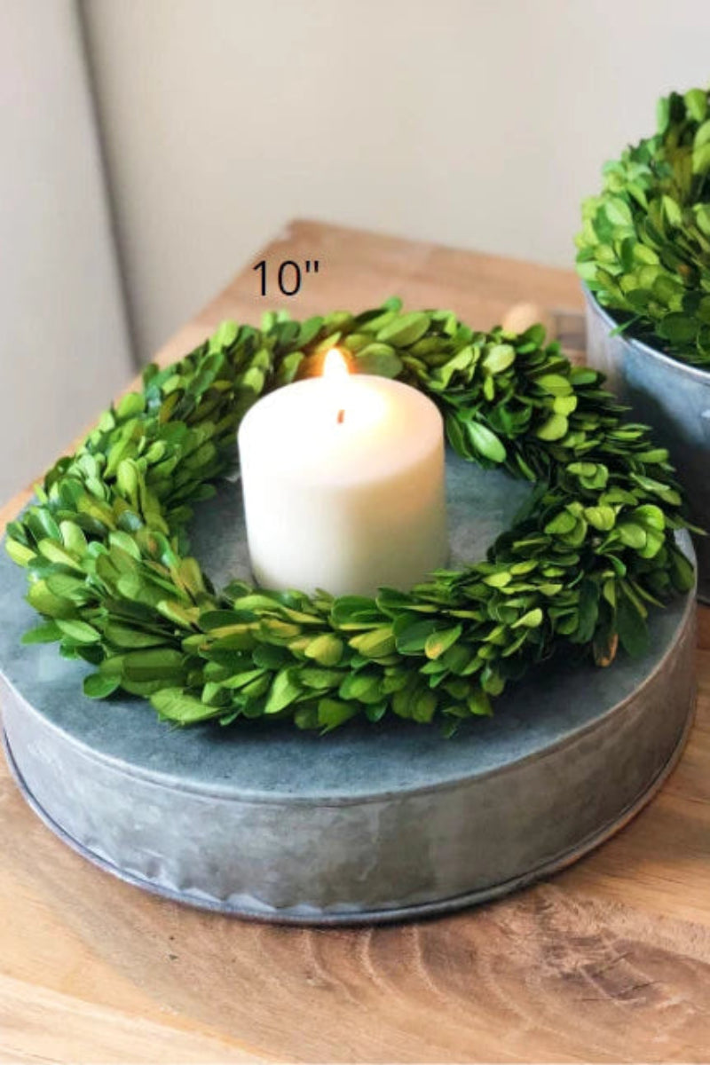 Preserved Boxwood Mini Wreath 10"