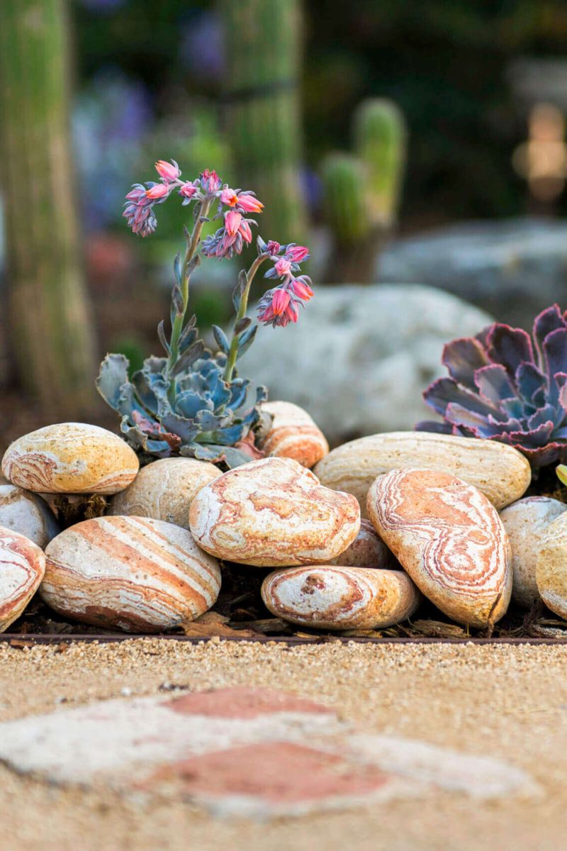 Decorative Bagged Stone 2QT Sedona