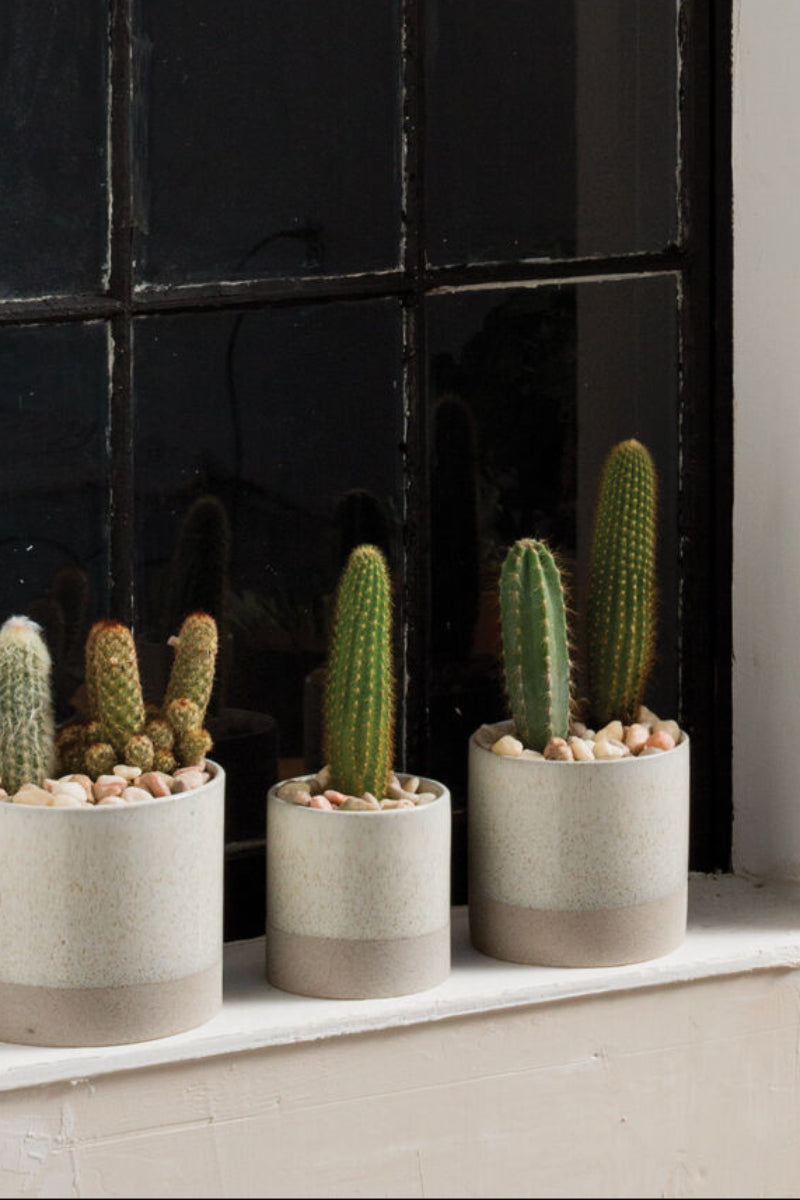 Downy Pot 4.5"x4.5" White