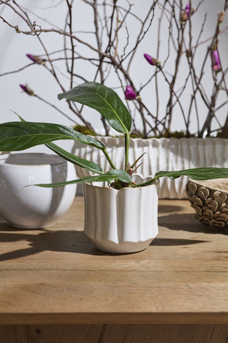 Everleaf Pot 6.25"x 5.75" Off White