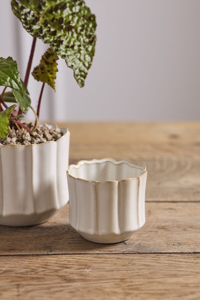 Everleaf Pot 3.25"x 3" Off White