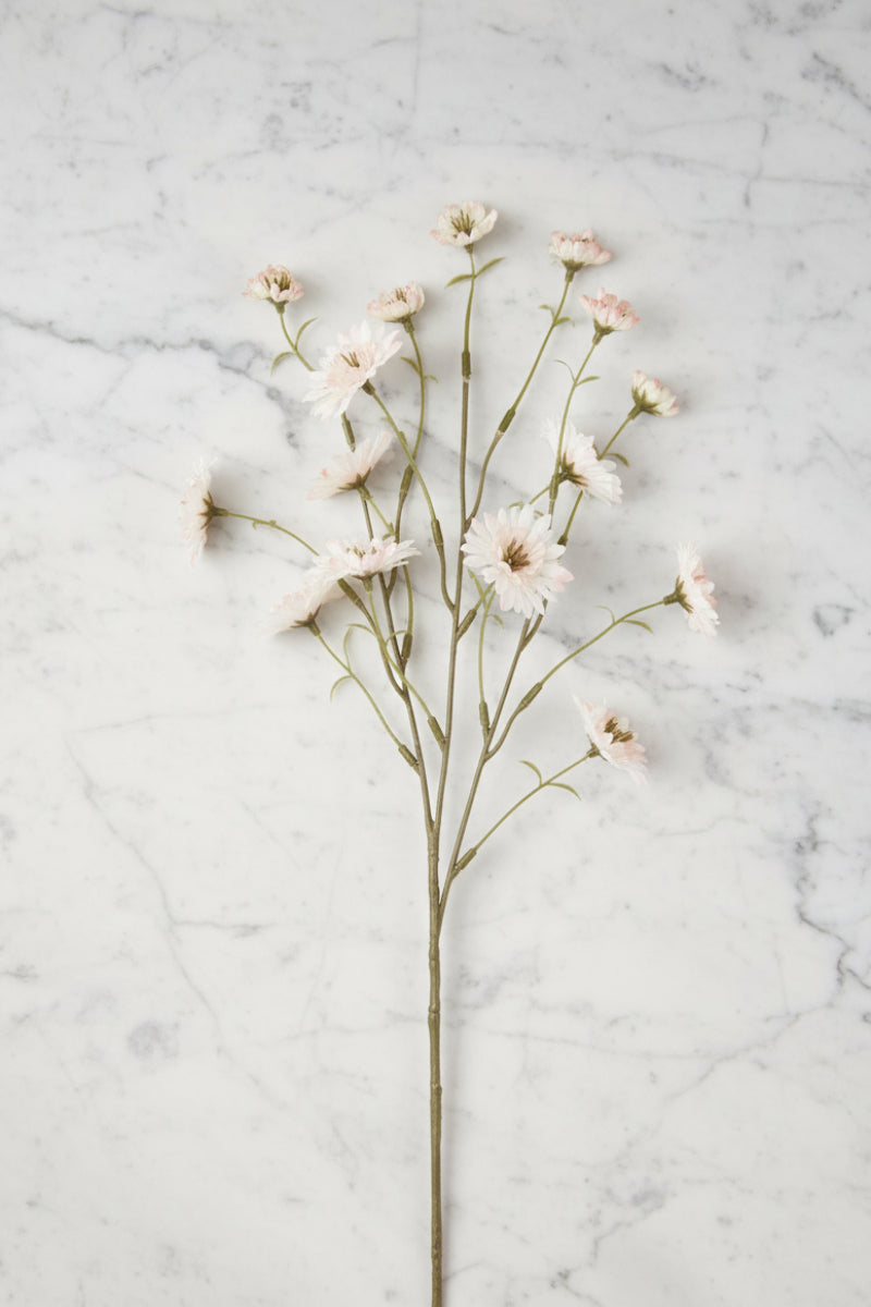 Faux Primula Spray 24" Beige