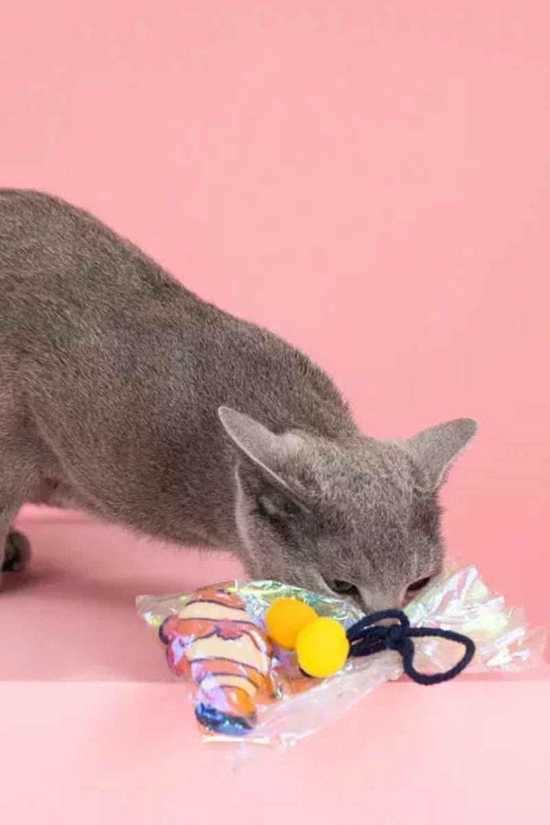 Fringe Studio Clownin' Around Cat Toy