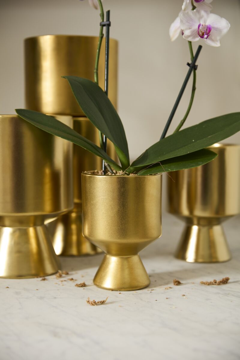 Accent Decor Gold De Vil Pot 4.5"x6.25" Gold