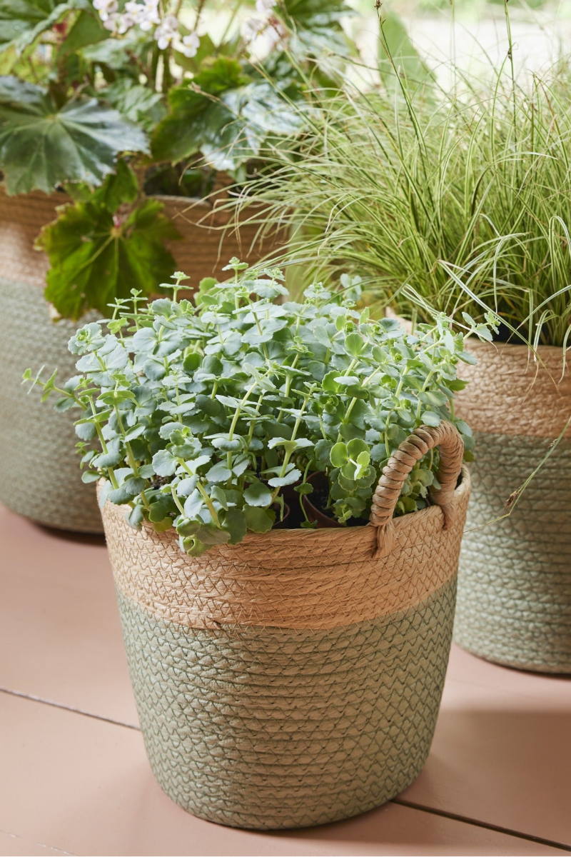 Paperrope Basket Two Tone with Handles Small