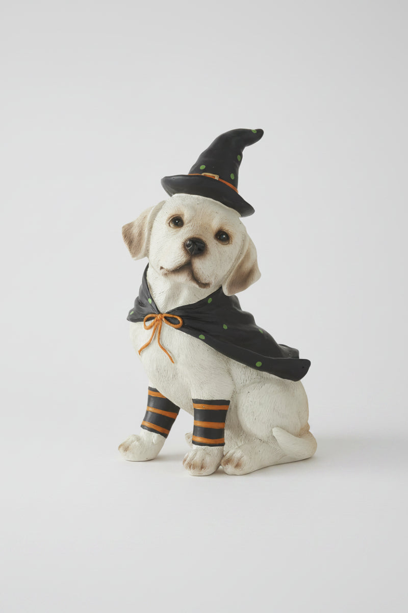 Resin Dog with Witch Hat and Cape 8"