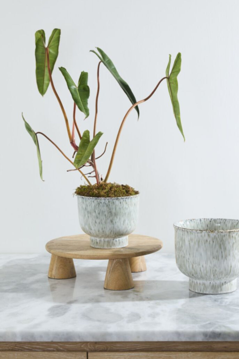 Accent Decor Hayden Pot 8.25"x7" Multi