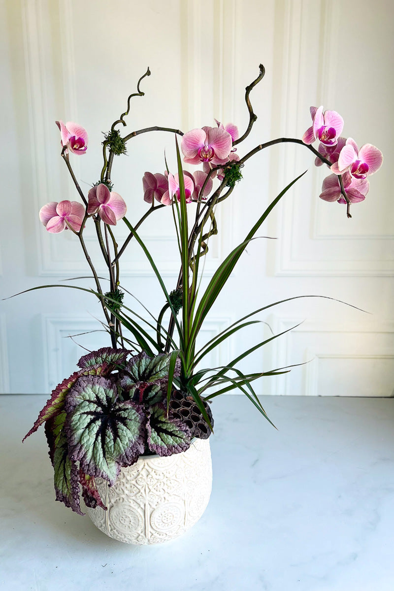 Chalet Signature Color Orchid Francis 8"
