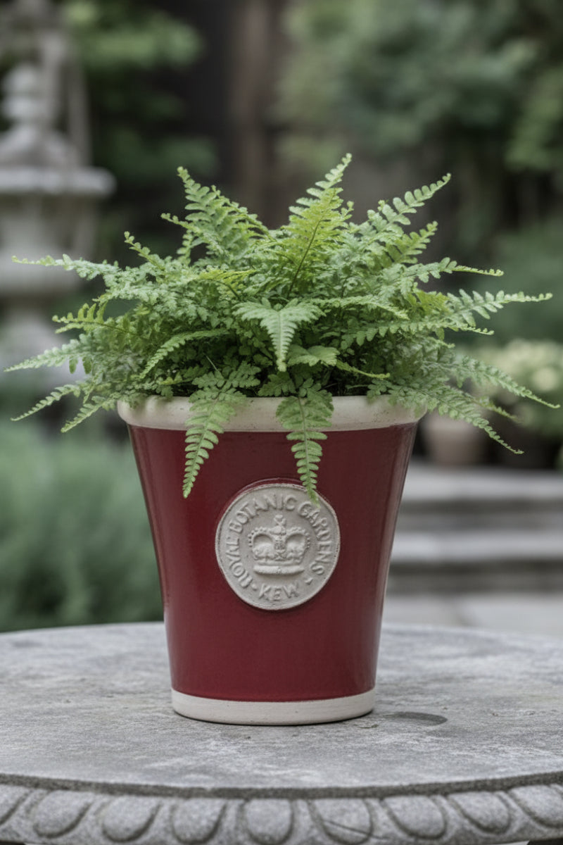 Cotswold Kew Long Toms Pot Medium Berry Red