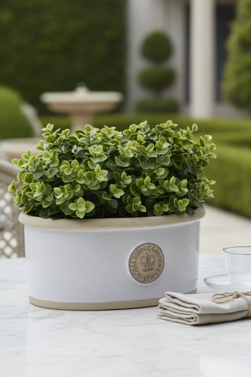 Kent Kew Oval Planter Small Old White