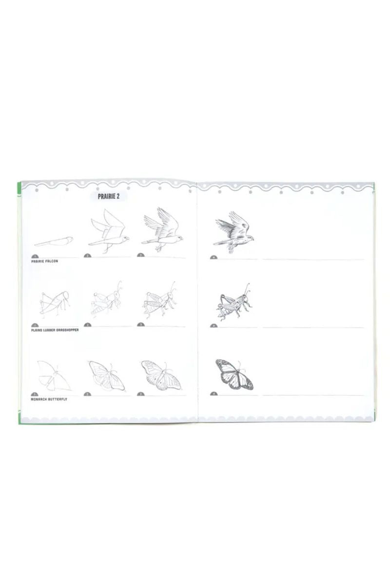 Learn to Draw Bugs, Birds, & Butterflies With Stickers