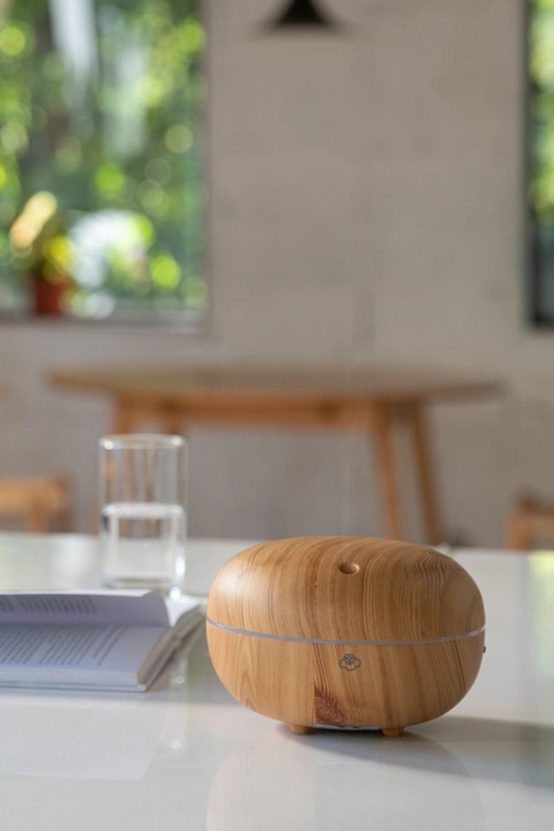 Macaron Scentilizer Light Wood