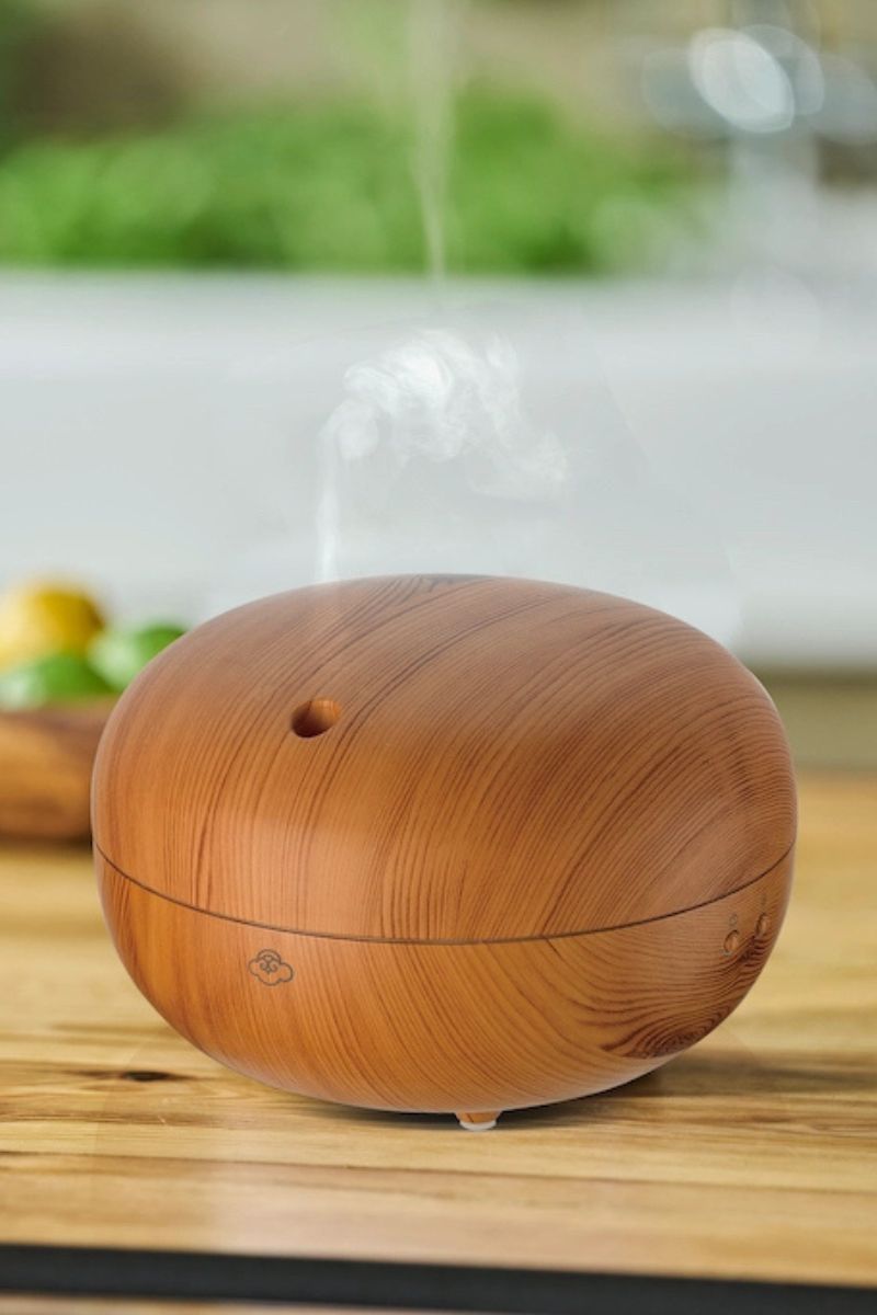 Macaron Scentilizer Light Wood