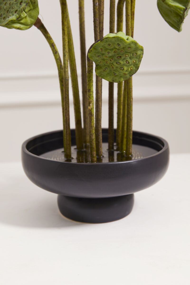 Nightingale Compote` 7.75"x3.75" Black