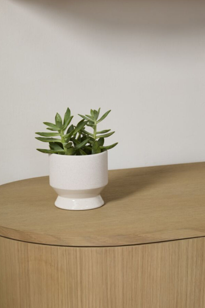 Neutral Pasadena Pot 4.5"x 4.25" Off White