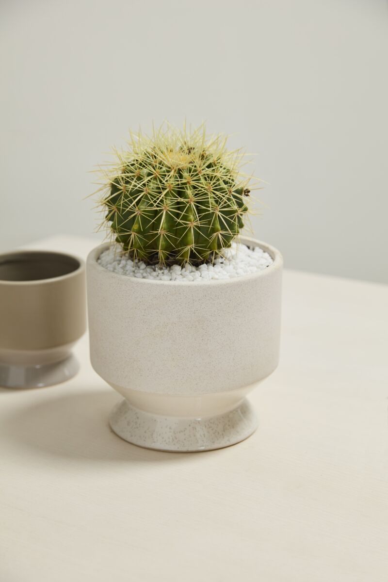 Neutral Pasadena Pot 6.25"x  6" Off White