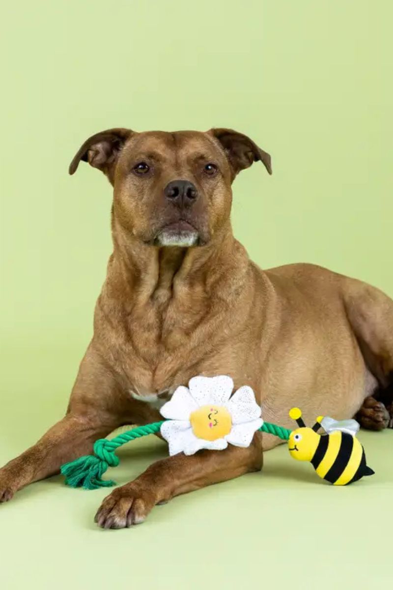 Petshop by Fringe I'm Pollen for You Plush