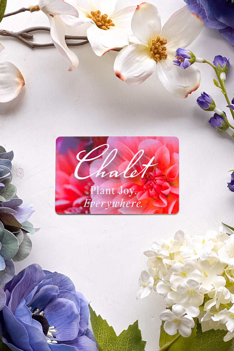 Physical Gift Card
