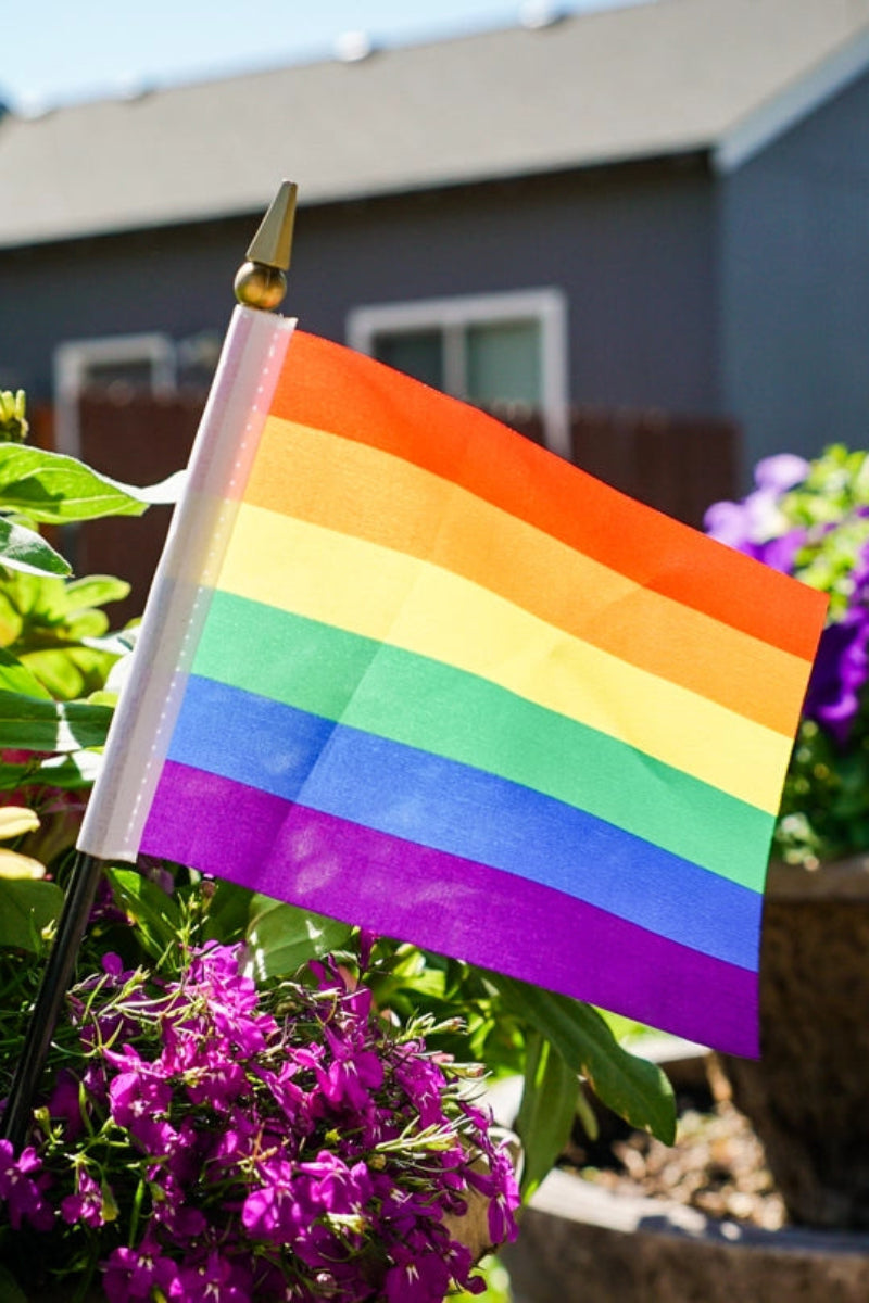 Rainbow Flag 4"x 6"