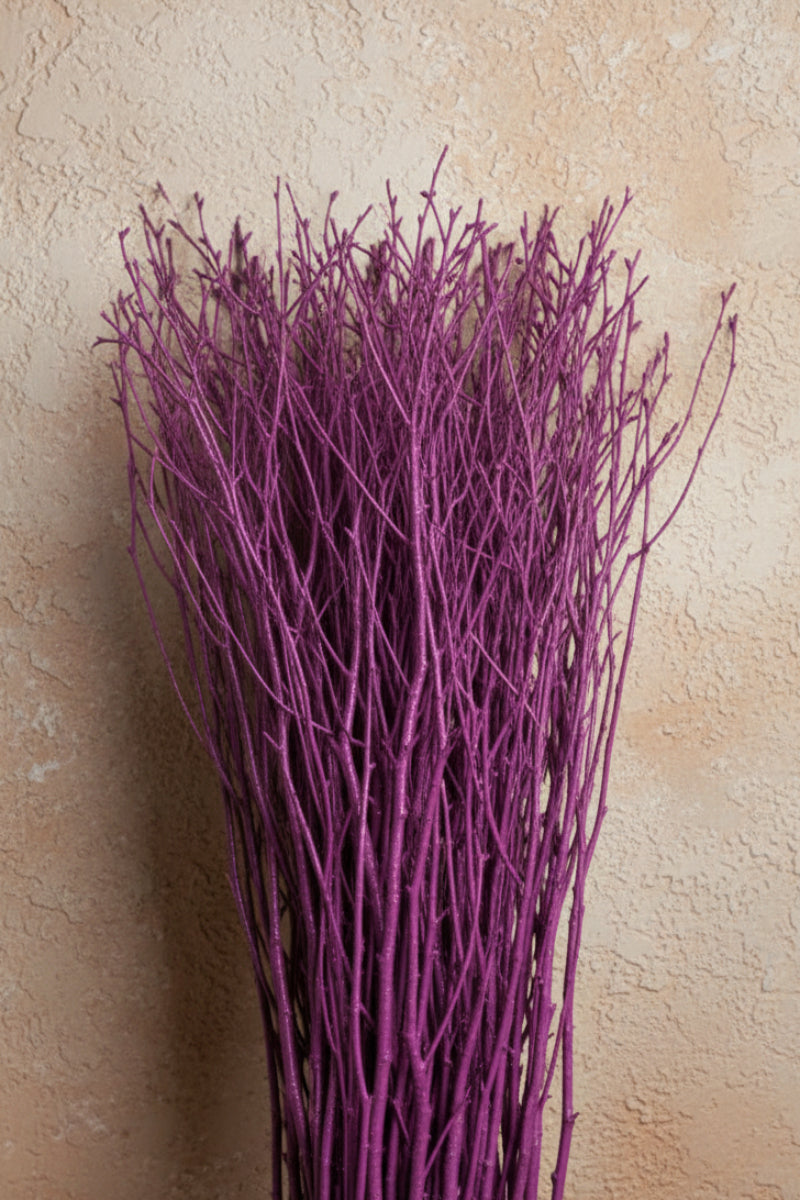 Birch Tips, Painted 36"-48" Bunch Purple