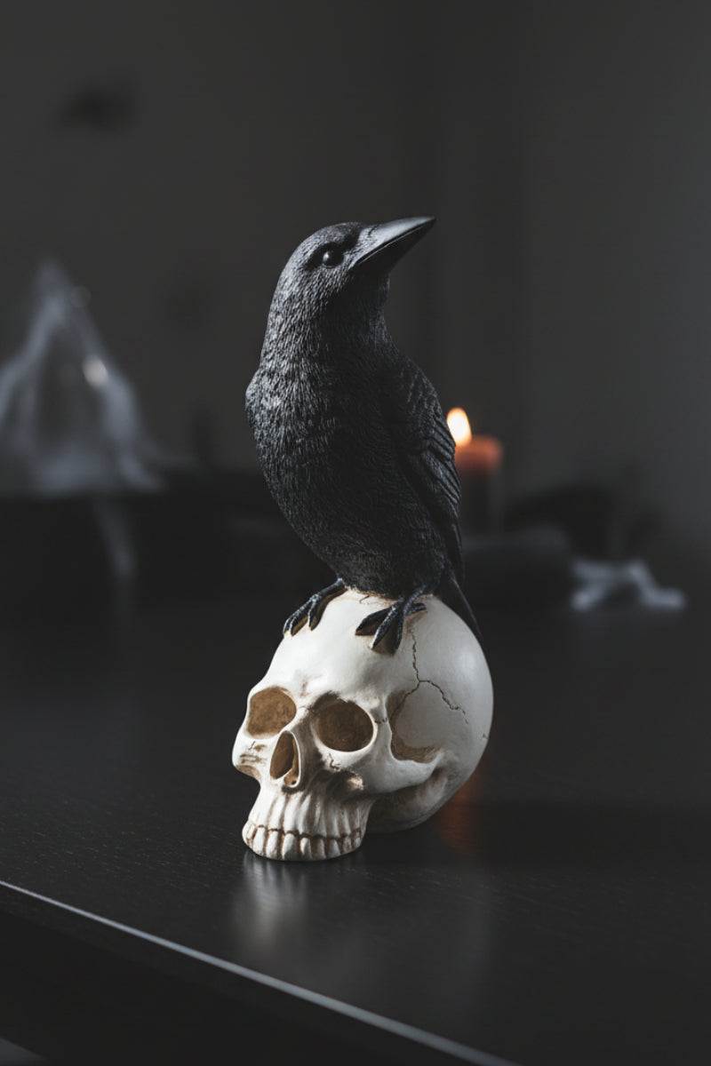 Raven On Skull 5"x9" Black