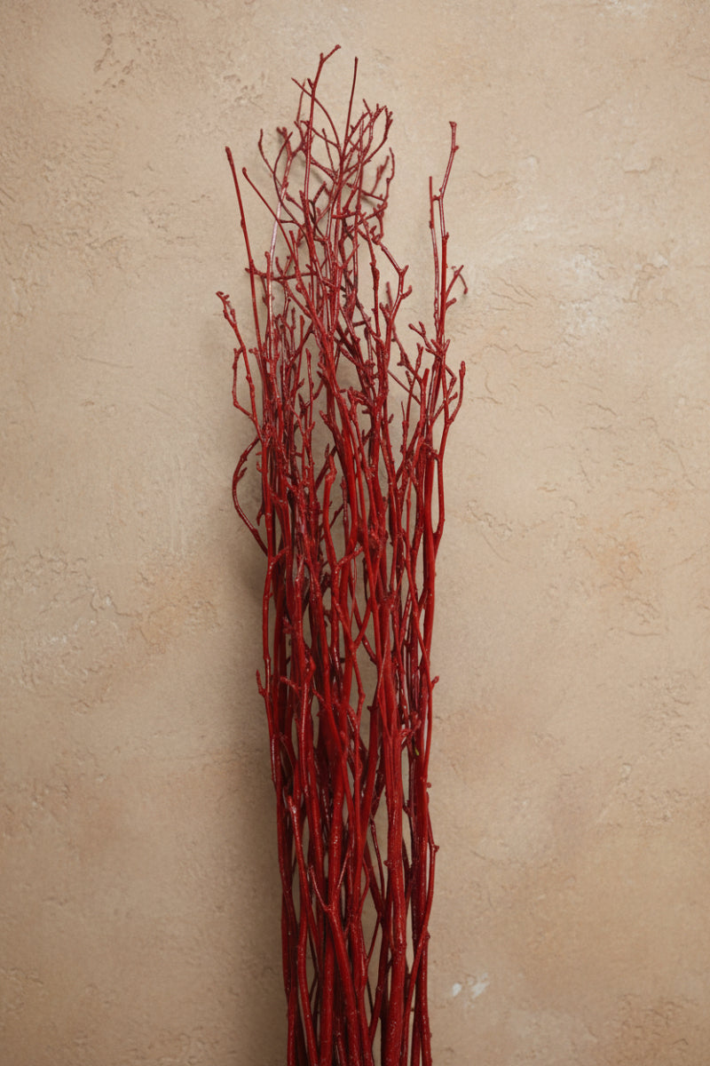Birch Tips Painted Red 24/28