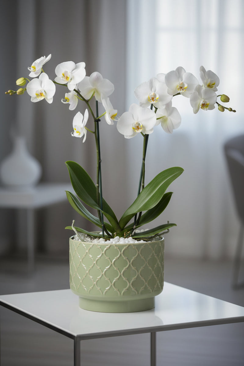 Metal Quatrefoil Pot Small Sage Green & Taupe
