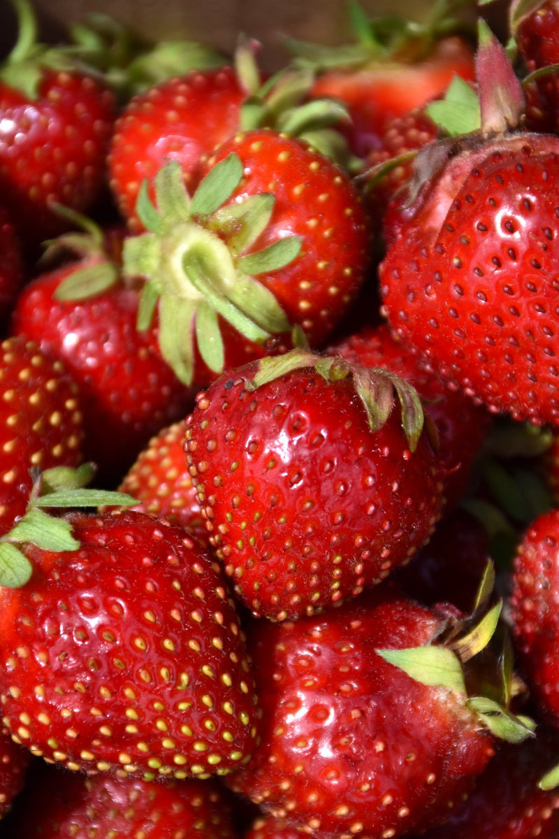 Fruit, Strawberry Delizz
