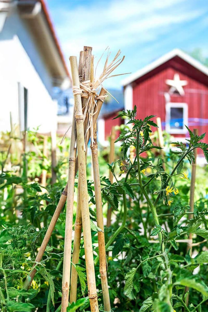 SuperMoss Bamboo Plant Stakes 18" 6 Pack