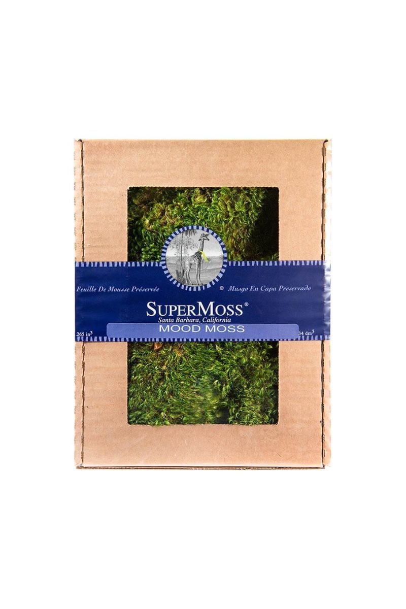 SuperMoss Preserved Mood Moss