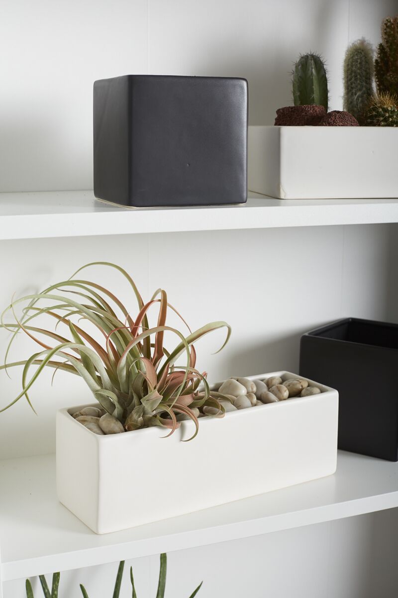 Urban Planter 12"x4"x4" Matte White