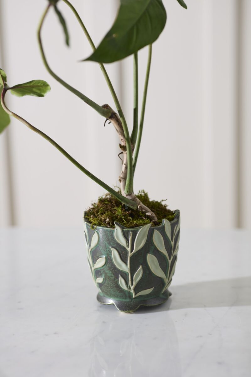 Accent Decor Vinelet Pot 5.5"x5.5" Green