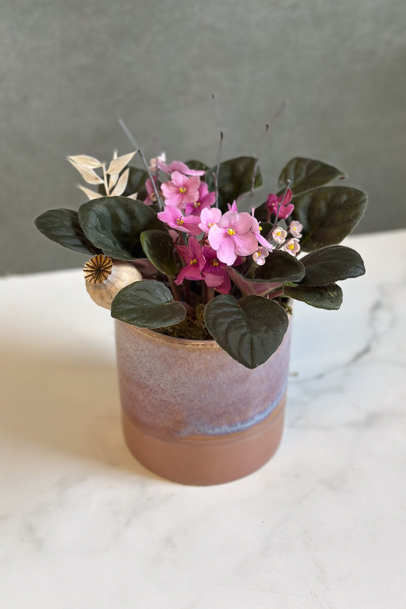 Chalet Signature Violet Himalayan 5"