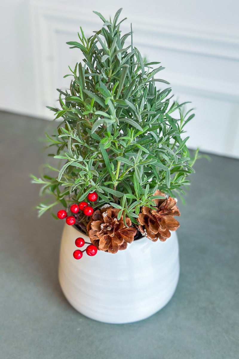 Chalet Signature Lavender Tree Tegan 5"