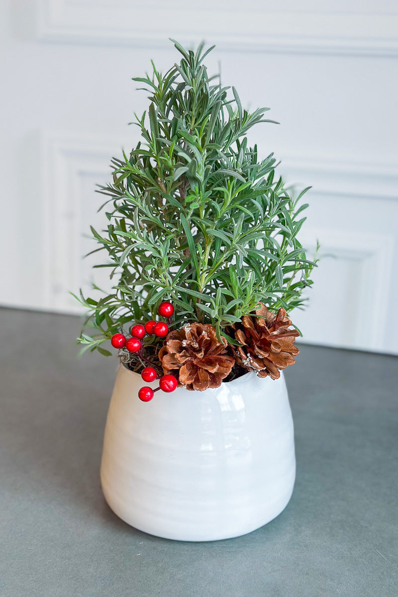 Chalet Signature Lavender Tree Tegan 5"