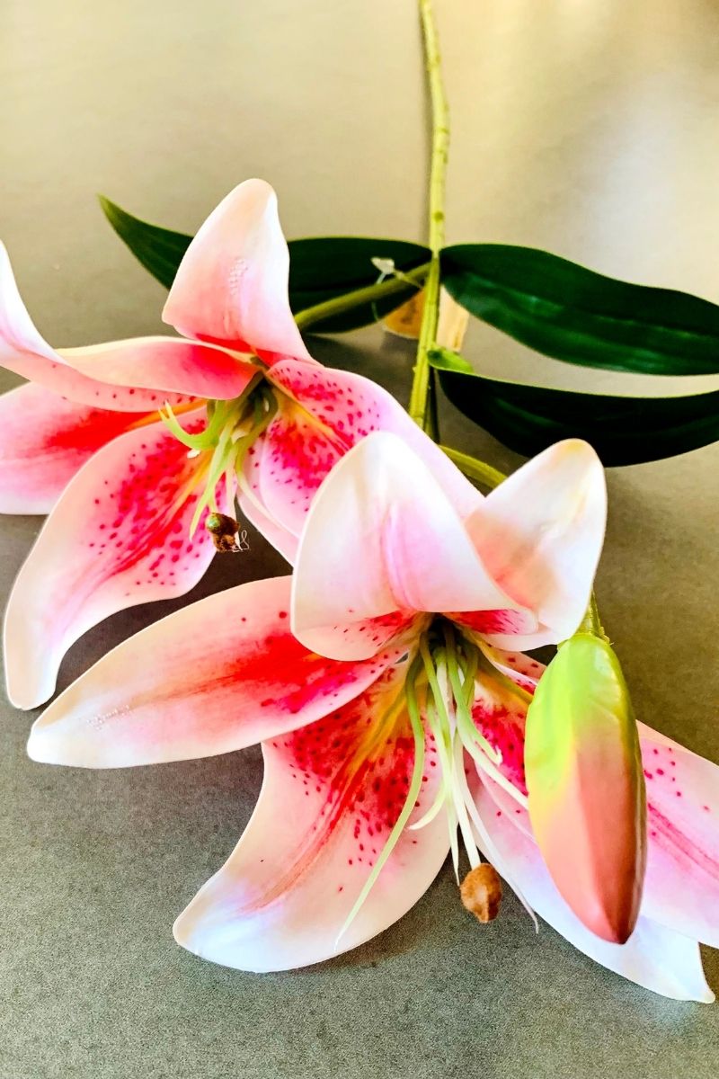 SILK TIGER LILY STEM RUBRUM 24