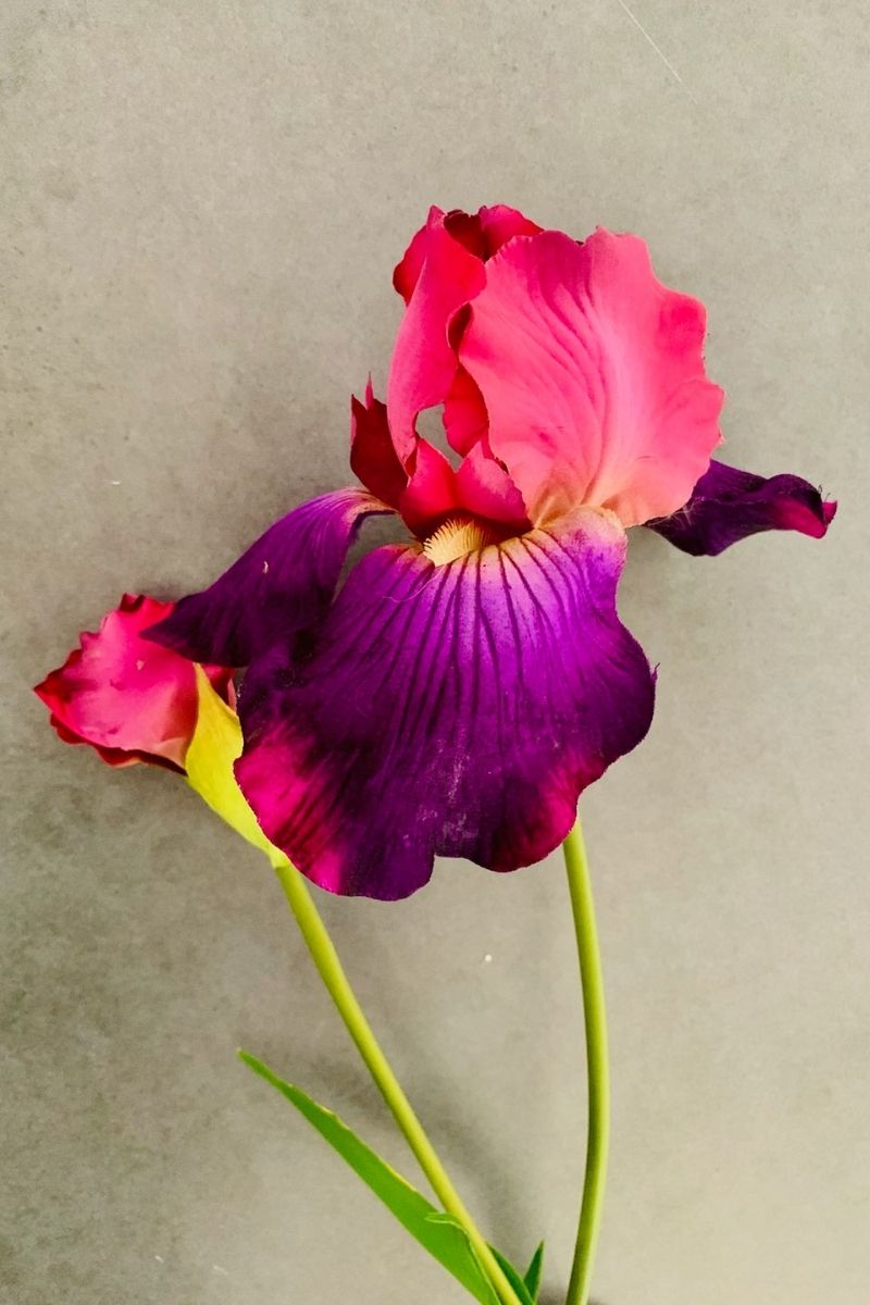 SILK IRIS STEM 37"