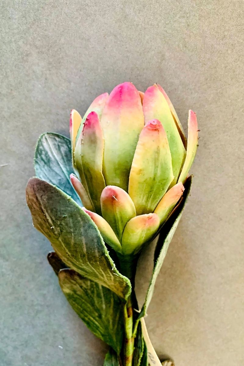 SILK STEM PROTEA 20"