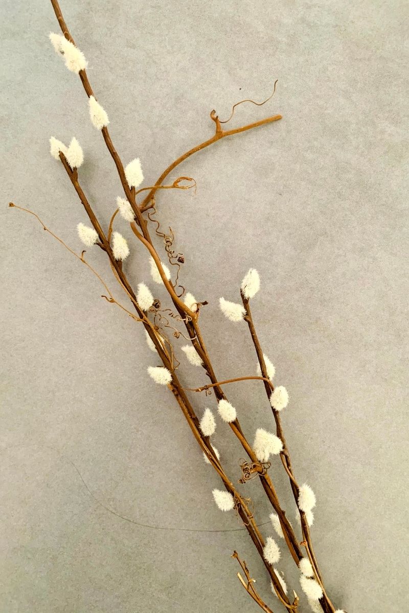 SILK SPRAY PUSSYWILLOW 42"