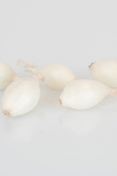 BULB,ONIONS WHITE PK/80