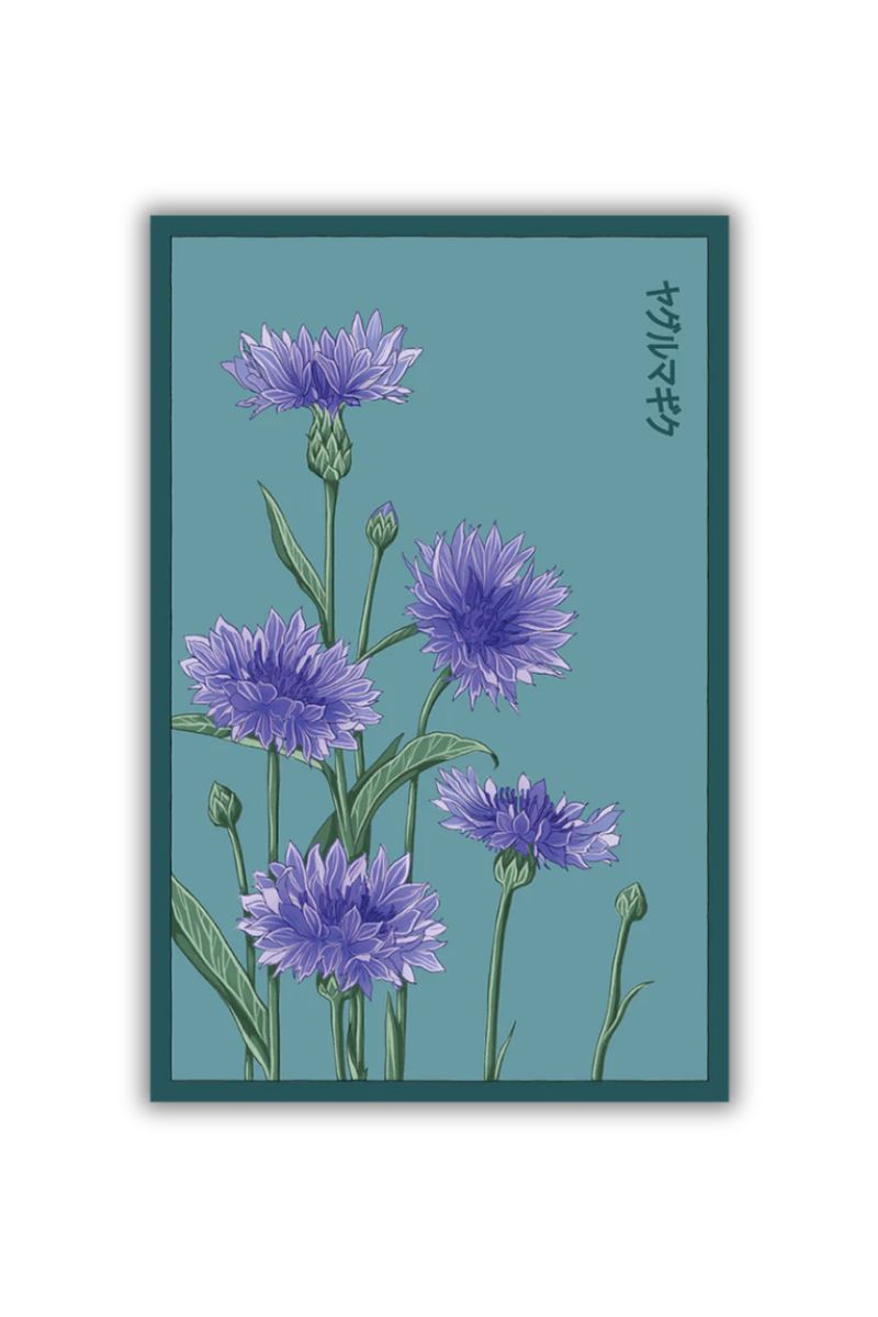 Chive Cornflower Blue Seeds
