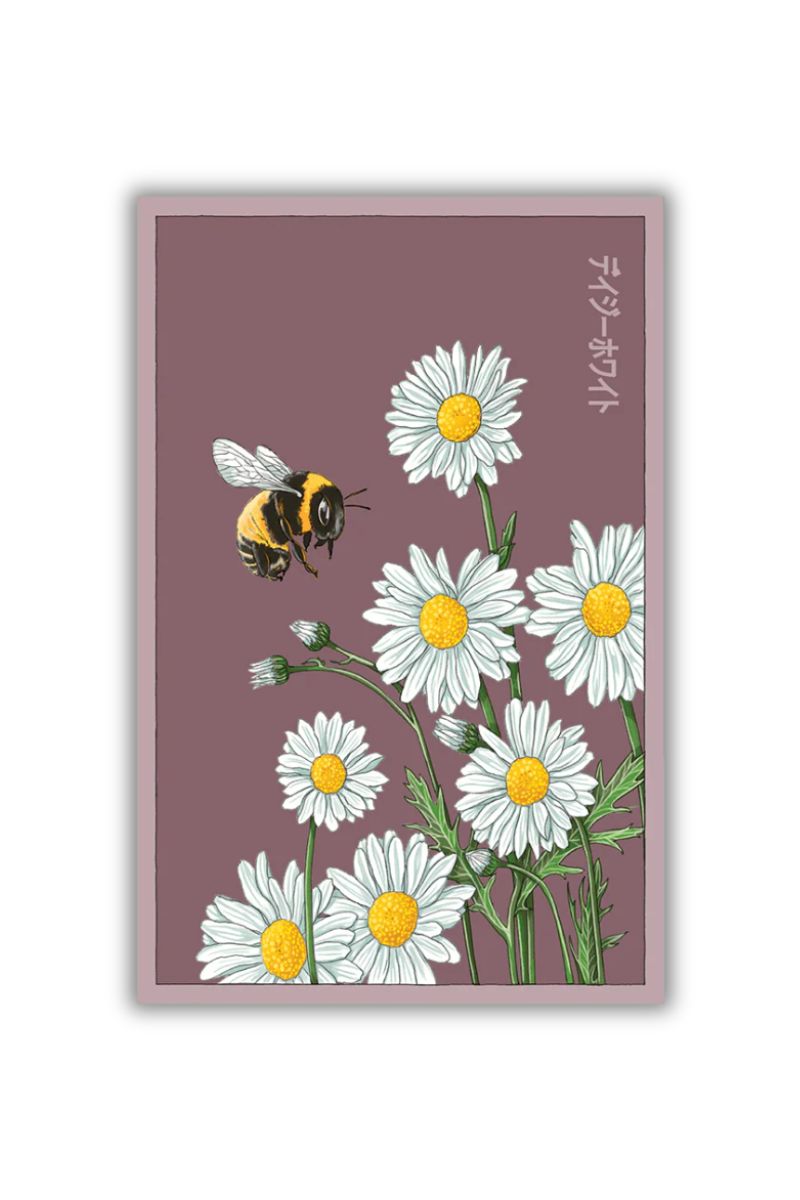 Chive Daisy Flower White Seeds