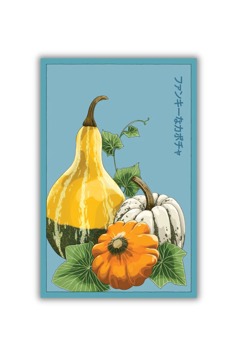 Chive Funky Squash Vegetable Seeds
