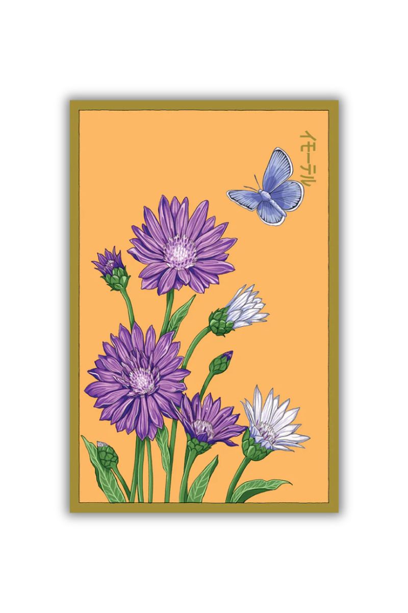 Chive Immortelle Flower Seeds