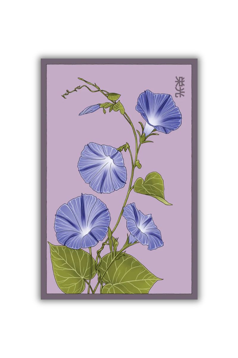 Chive Morning Glory Flower Seeds
