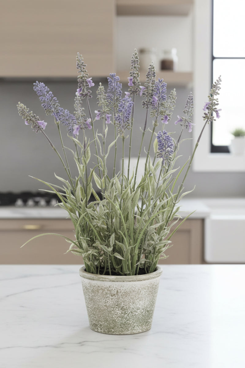 Faux Lavender Potted 15.5"