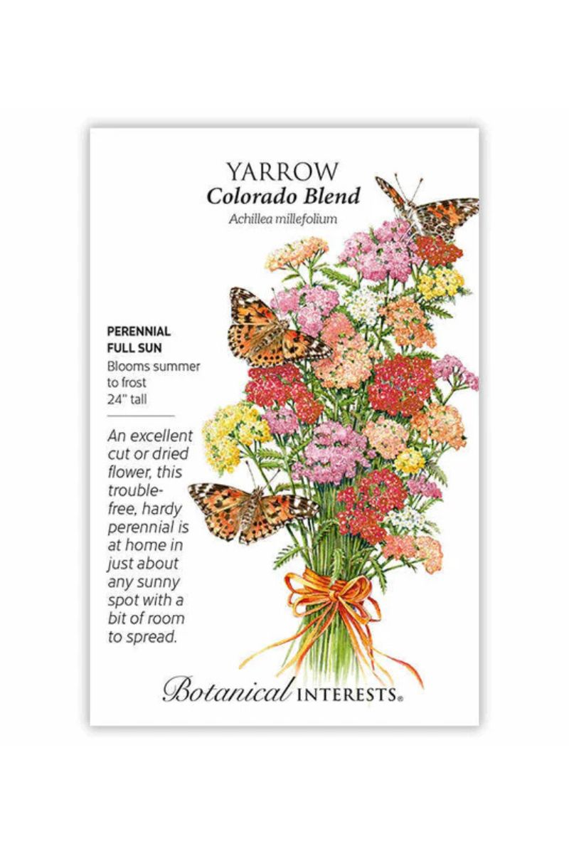 Botanical Interests Colorado Blend Yarrow Seeds